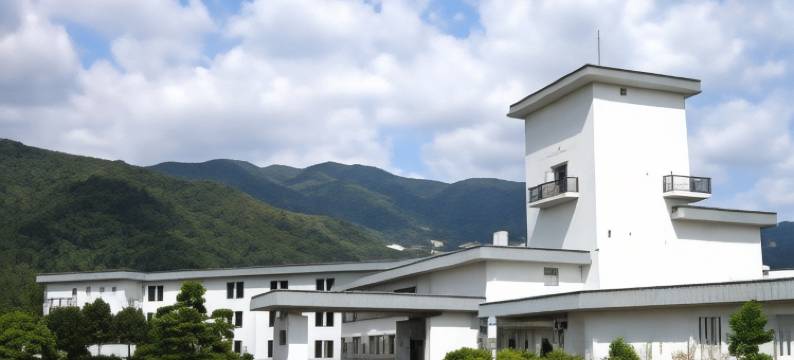 阿瓦诺索日式旅馆(Awanosho)图片