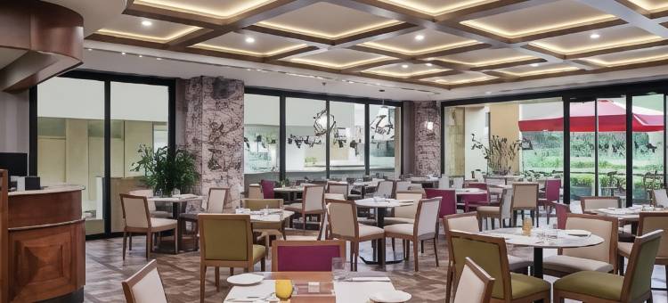 伊斯坦布尔盖雷特佩希尔顿逸林酒店(DoubleTree by Hilton Istanbul Gayrettepe)图片