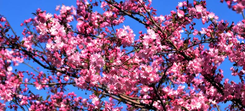 刘女士公寓(岷山路分店)图片