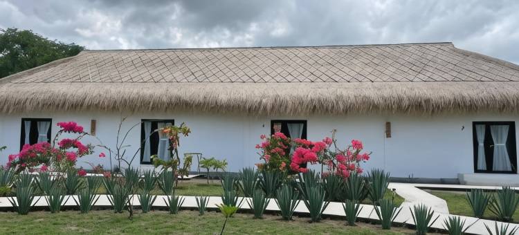 莫申海滩度假村(Mocean Resort)图片