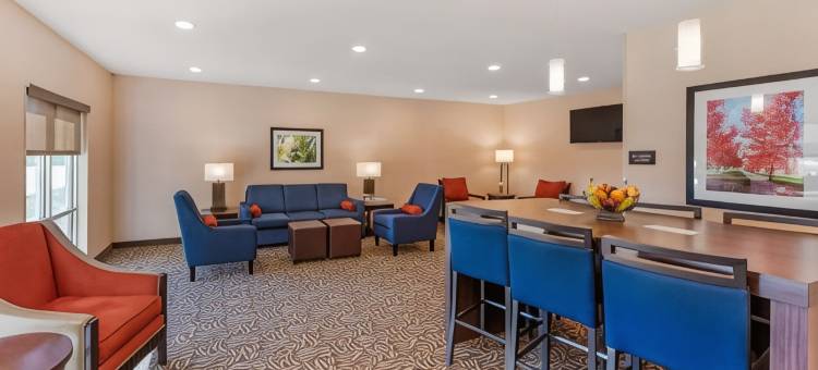 舒适套房酒店-近66号公路(Comfort Inn & Suites Near Route 66)图片