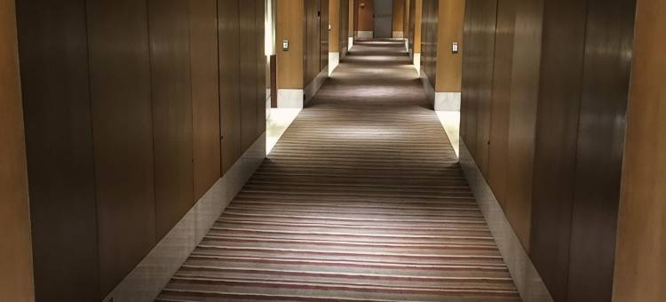 加尔各答 ITC 索纳尔豪华精选酒店(ITC Sonar, a Luxury Collection Hotel, Kolkata)图片