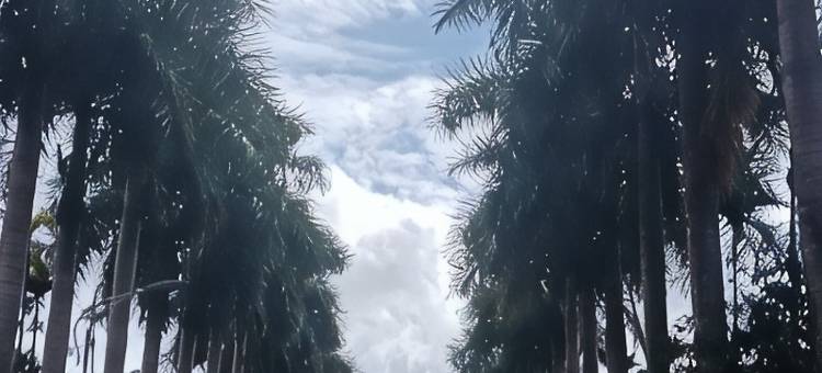 万宁常青兴隆民宿图片