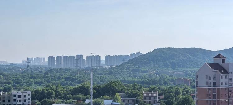 林格康泰智选酒店(武汉同济医院中法新城店)图片