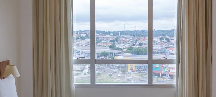 玛瑙斯假日酒店(Holiday Inn MANAUS by IHG)图片