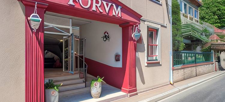 论坛酒店(Hotel du Forum)图片