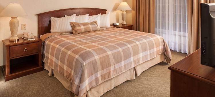 Staybridge Suites 蒙特雷 - 圣佩德罗 by IHG(Staybridge Suites MONTERREY - SAN PEDRO by IHG)图片