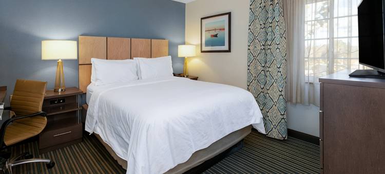 Candlewood Suites 西部斯普林菲尔德(Candlewood Suites WEST SPRINGFIELD by IHG)图片