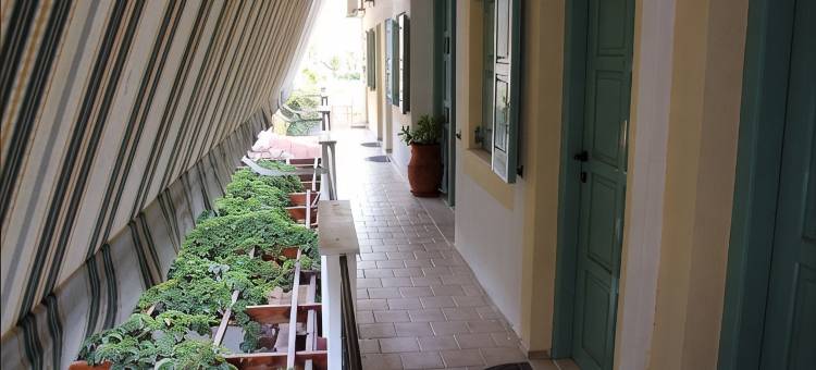迪米特里斯度假酒店(Matala Dimitris Resort)图片