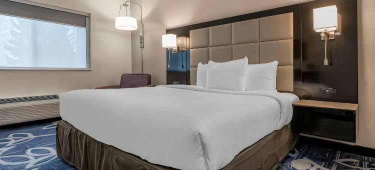 舒适酒店和套房利物浦 - 锡拉丘兹(Comfort Inn & Suites Liverpool - Syracuse)图片