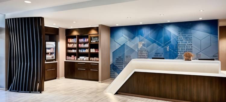 阿普尔顿万豪斯普林希尔套房酒店(SpringHill Suites by Marriott Appleton)图片