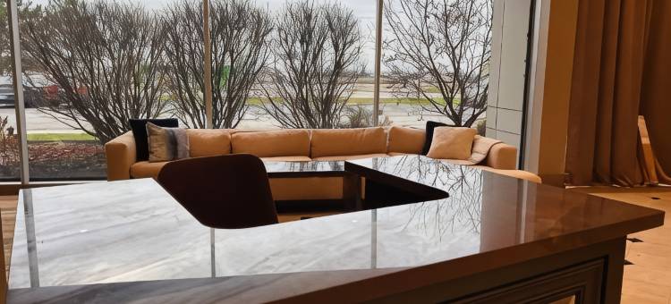 底特律机场天际线酒店 - 贝斯特韦斯特 SureStay 精选酒店(Skyline Hotel Detroit Airport, SureStay Collection by BW)图片