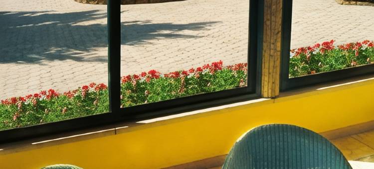 约兰达公园酒店(Park Hotel Jolanda)图片