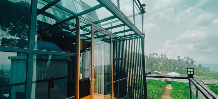 尼莫茶园度假村(Nimo Tea Resort)图片