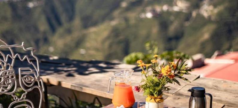 慕苏里塞克鲁德酒店(Seclude Mussoorie, Winterline)图片