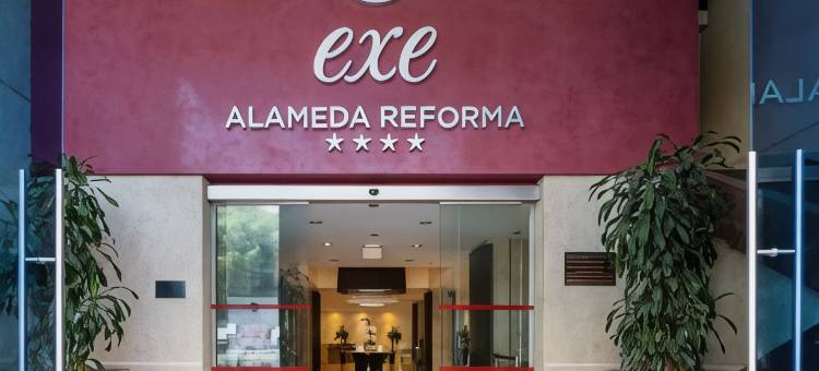 埃克阿拉米达雷福马酒店(Exe Alameda Reforma)图片