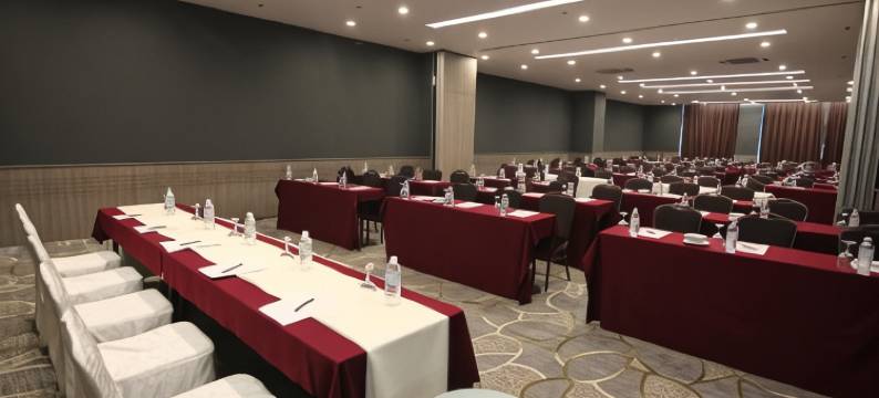 梳邦加亚奈克萨斯摄政套房酒店(Nexus Regency Suites & Hotel)图片