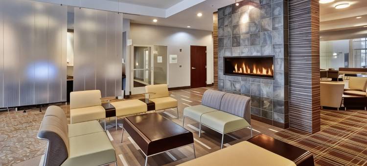 底特律大都会机场假日酒店(Holiday Inn Detroit Metro Airport)图片