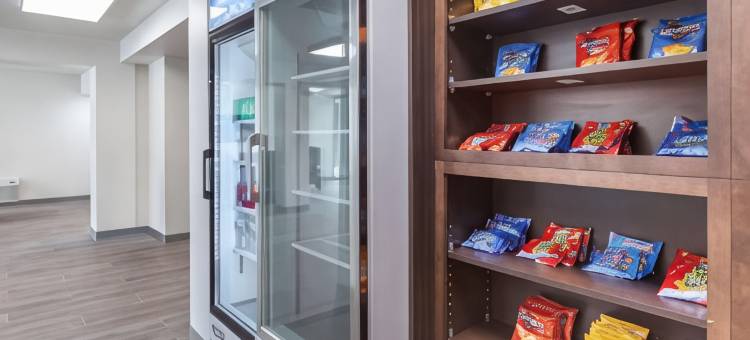 圣彼得斯堡骑士酒店(Quality Inn Saint Petersburg North-Tampa Bay)图片