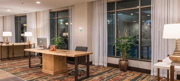 史蒂文斯角假日酒店 - 会议中心(Holiday Inn Stevens Point - Convention Ctr)图片