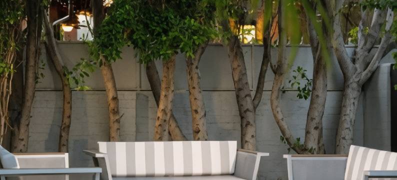 电影殖民地酒店 - 限成人(Movie Colony Hotel - Adults Only)图片