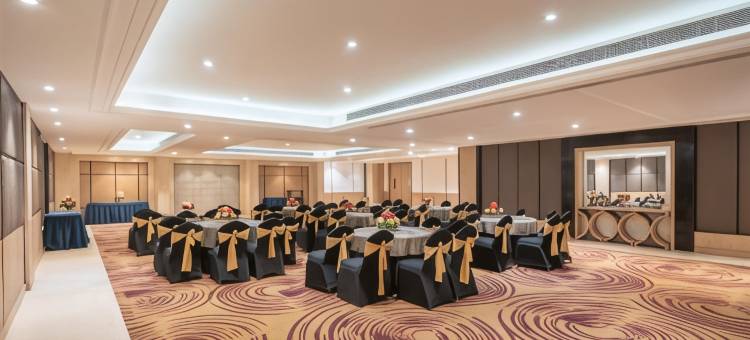 古尔冈丽柏酒店(Park Inn Gurgaon)图片