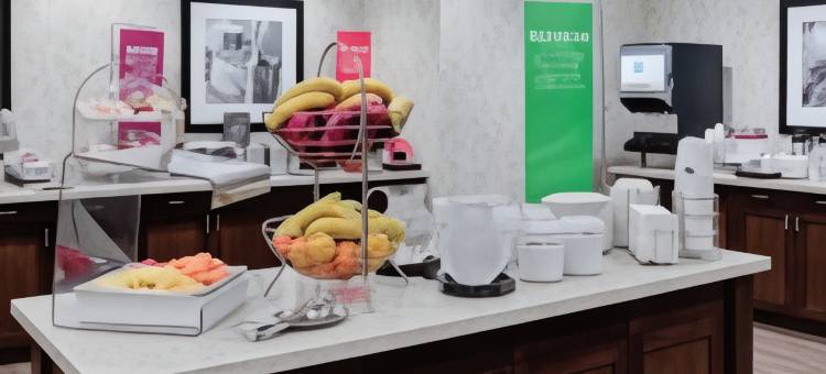 希尔顿欢朋套房酒店-曼彻斯特(Hampton Inn & Suites Manchester)图片