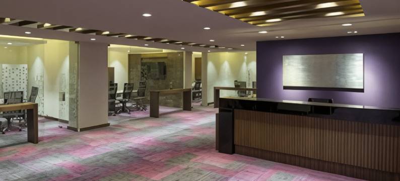 佩德雷加尔卡米诺里尔酒店(Camino Real Pedregal Mexico)图片