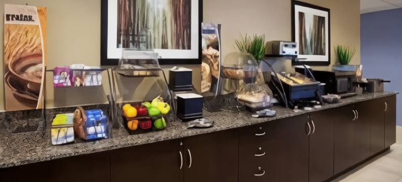 温韦恩斯堡麦客达套房酒店(Microtel Inn & Suites by Wyndham Waynesburg)图片