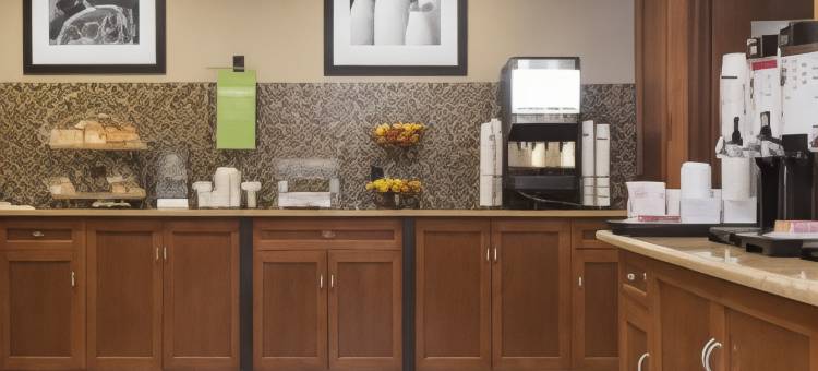 兰辛东欢朋酒店及套房(Hampton Inn & Suites East Lansing/Okemos)图片