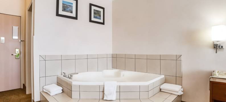 艾尔克舒适酒店(Comfort Inn Elko)图片