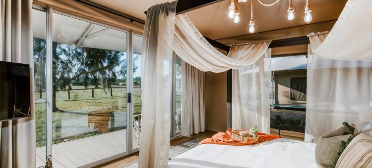 帕克兰会议度假酒店(Parklands Resort Mudgee)图片