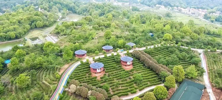 庐山海庐茶博园图片