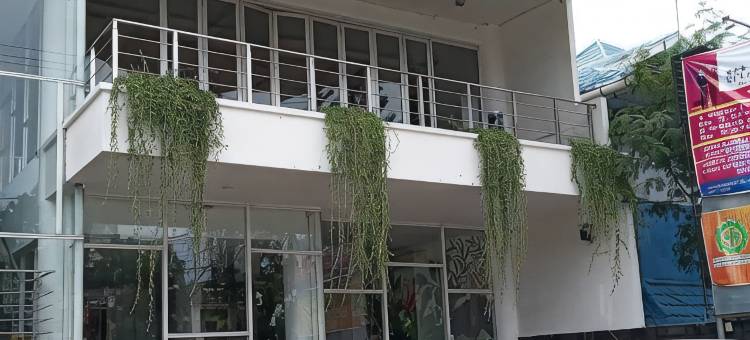 飞溅酒店(Splash Hotel)图片