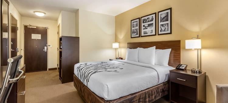 舒眠酒店及套房大福克斯 靠近阿勒鲁斯中心(Sleep Inn & Suites Grand Forks Alerus Center)图片