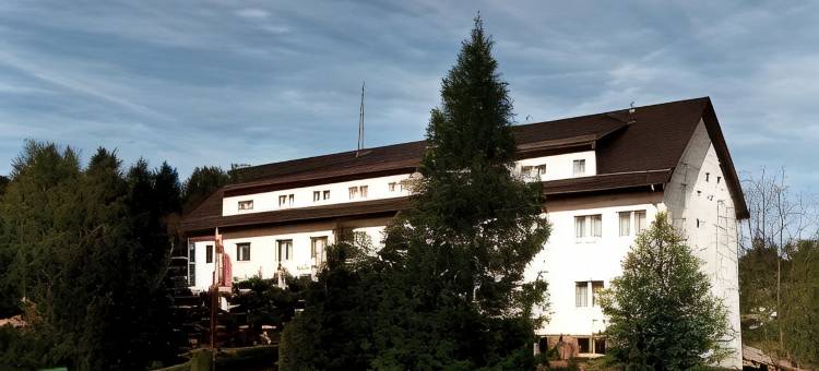 塔姆巴赫伯格酒店(Berghotel Tambach)图片