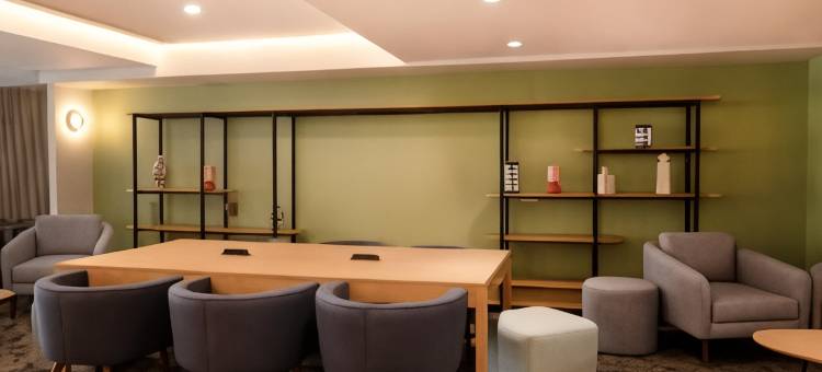 墨西哥城波朗科温德姆花园酒店(Hilton Garden Inn Mexico City Polanco)图片