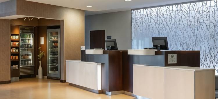 斯普林菲尔德北安普敦/阿默斯特万枫酒店(Fairfield Inn & Suites Springfield Northampton/Amherst)图片