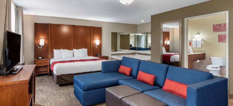 舒适套房酒店-乌尔班纳香槟大学城(Comfort Suites Urbana Champaign, University Area)图片