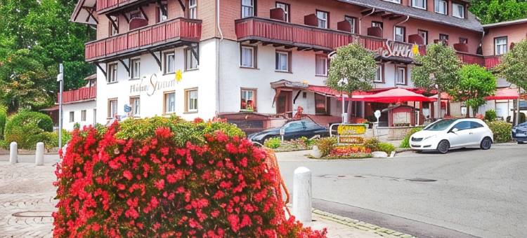斯特内沃彻尔酒店(Wochner's Hotel-Sternen am Schluchsee Hochschwarzwald)图片
