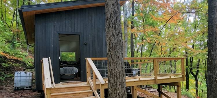 Get back to nature! Unique cabin in the mountains 15 minutes from Asheville N.C.图片
