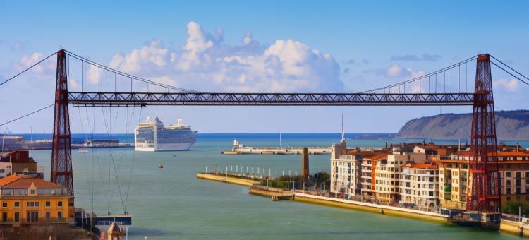 莱贝雷毕尔巴鄂博物馆公寓(Apartamentos Líbere Bilbao Museo)图片
