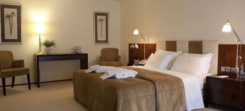 桑塔纳Spa酒店(Santana Hotel & Spa)图片