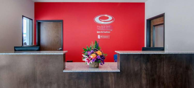 伊克诺套房旅馆(Econo Lodge Inn & Suites)图片