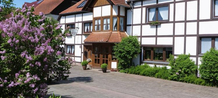 里德裴森招待所(Pension Ridder)图片