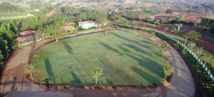 哈姆雷特(The Hamlet)图片