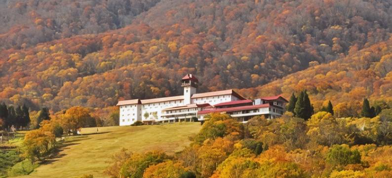 赤仓观光酒店(Akakura Kanko Hotel)图片