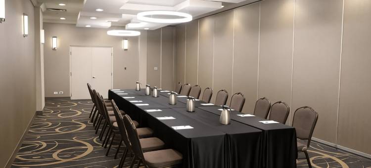 芝加哥奥黑尔区假日酒店(Holiday Inn Chicago O'Hare Area)图片