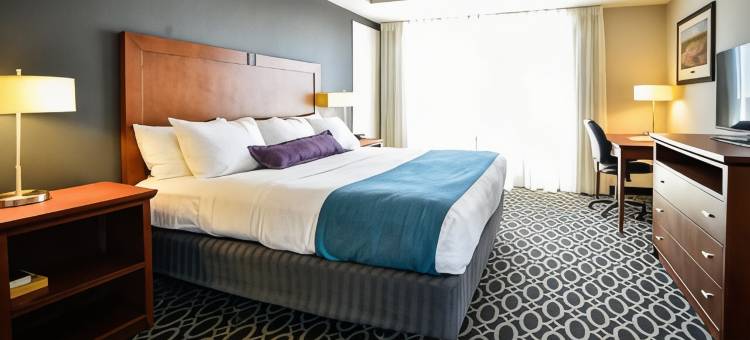 布鲁蒙特酒店(Bluemont Hotel)图片