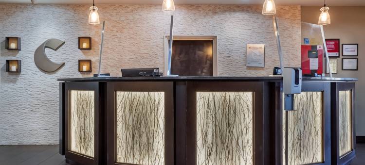 舒适套房酒店(Comfort Suites)图片